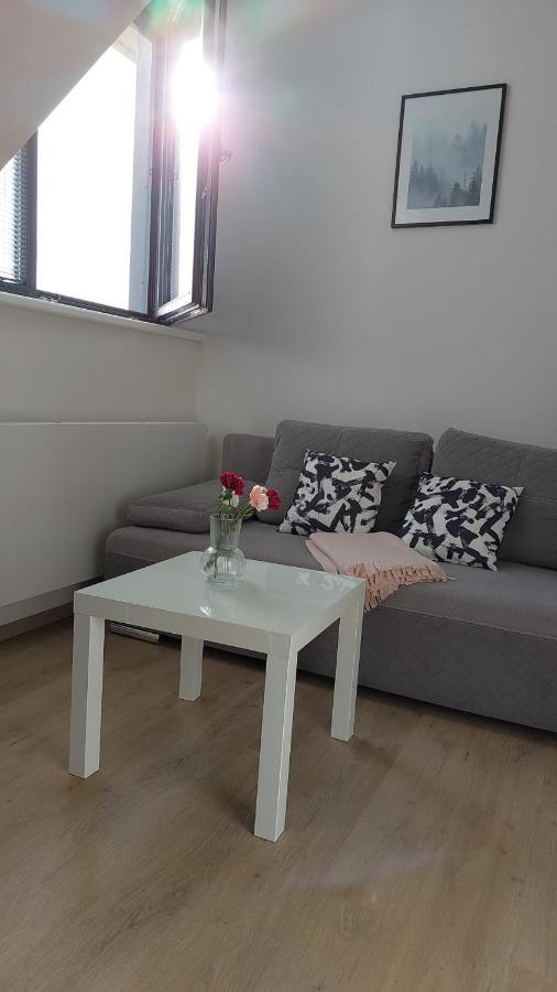 Kvilda! Apartman Terezka公寓 外观 照片